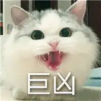  可以做头像的表情包微信头像图片大全
