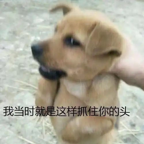  发作性睡病能活多久
