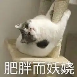  电话,地址,价格,营业时间图合肥美食