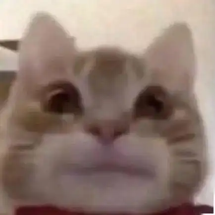  猫猫狗狗表情包