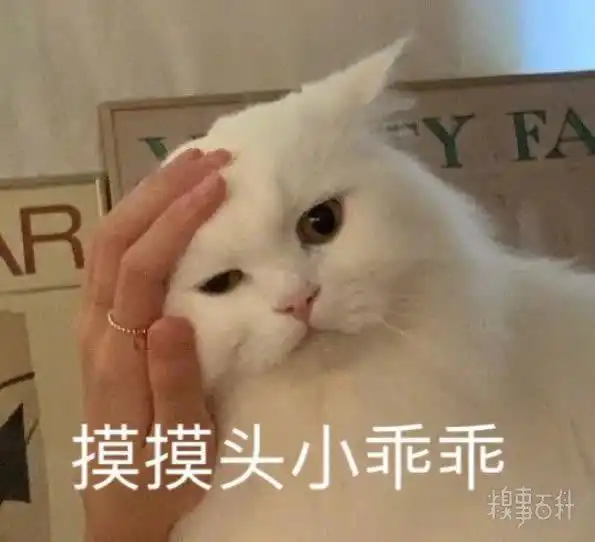 疑惑可爱表情包可爱