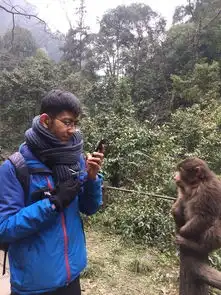  日出雪景泼猴峨眉山都能满足你