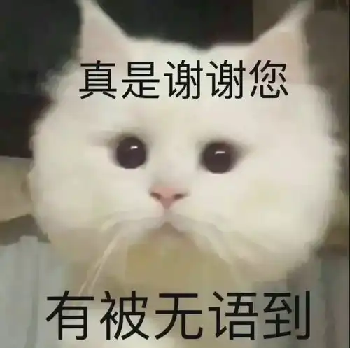  硅谷林生斌前妻埋前院,9天闪婚新欢