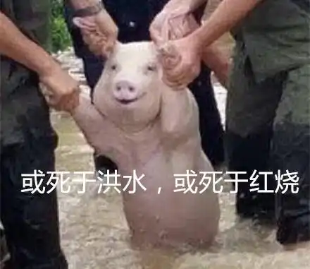  七夕特辑如何秀一场优雅的恩爱