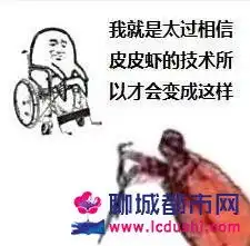  皮皮虾表情包无水印下载皮皮虾我们走3