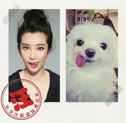  非单身千万别点李冰冰演绎真人版单身汪表情包,以后聊天就用它了