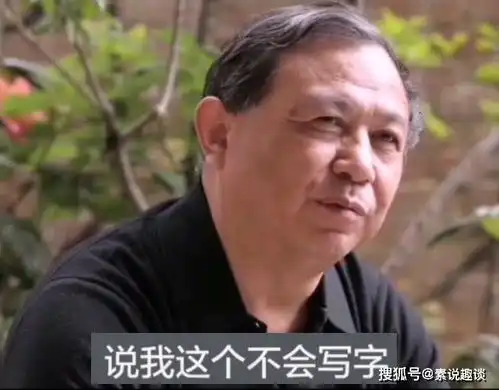  吼书大师曾翔说我不会写字我特别开心,别人看不懂是真不懂