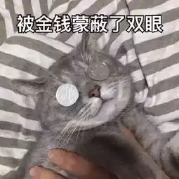  胆真肥茂名某驾校教练竟帮安排学生替考每次收取数千元结果悲剧了