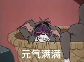 关于猫和老鼠的搞笑故事,你看过几个呢