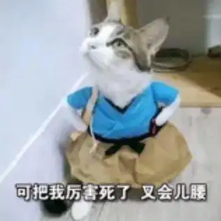  受到惊吓丨第960期喵表情包