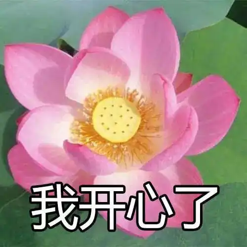  英国最难申请的学校19年秋季的第一批录取更青睐什么样的学生