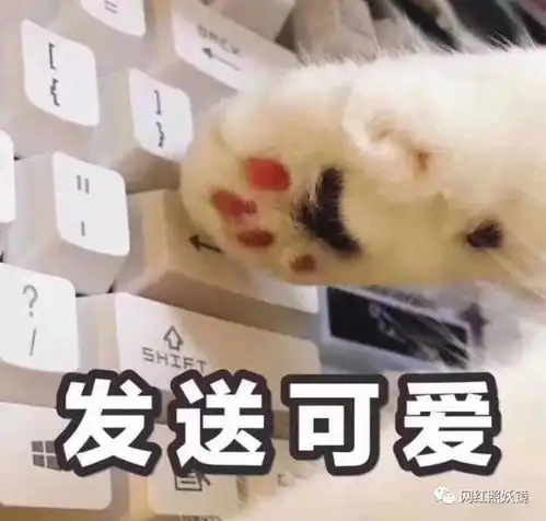 佛冷表情包眼霜