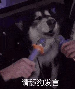  沙雕表情包分享你好,我舔狗
