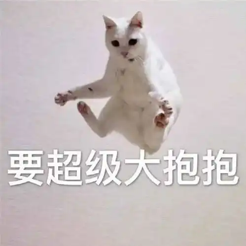  表情包你不要不理我嘛
