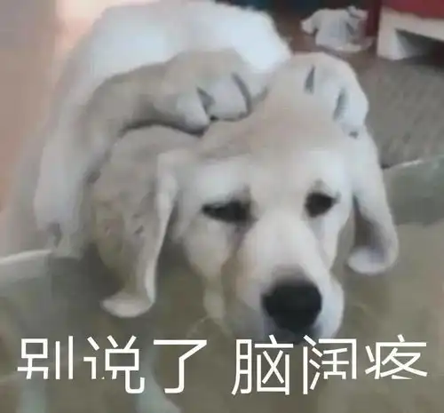  笑掉大牙可以说是一模一样