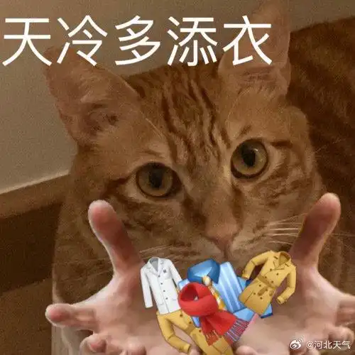  气温走势