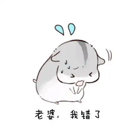  老婆我错了仓鼠表情包