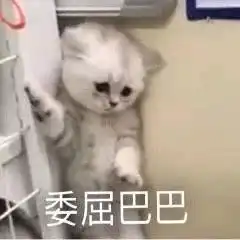  无语广东一司机超车不成开窗骂人,另一司机扔矿泉水出来砸人,结果致5车相撞...