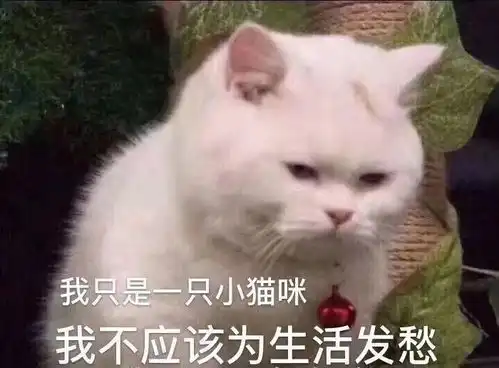  暑假在家当卧底
