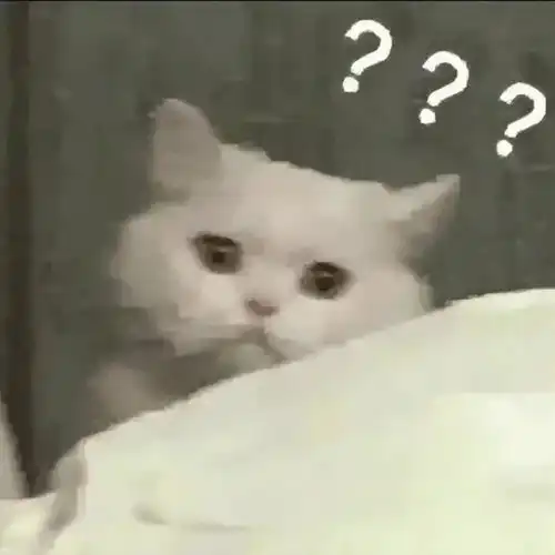  可怕月售3000单的猪脚饭外卖店竟开在垃圾站幽灵外卖乱象曝光
