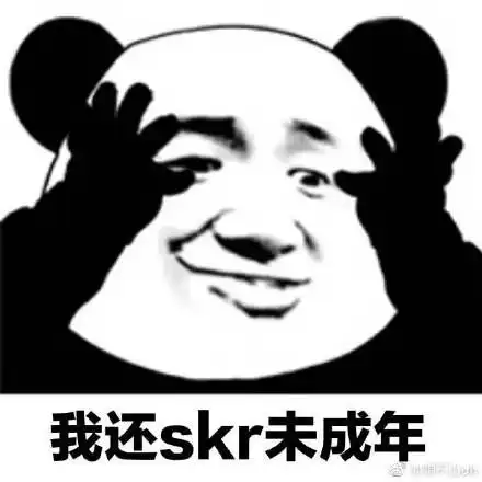  我问为什么,那男孩传skr给我
