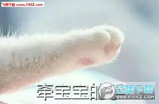  猫爪牵手套路图猫爪牵手表情包完整版下载猫爪牵手系列表情包下载飞翔下载