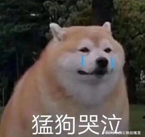  这是一个自我介绍