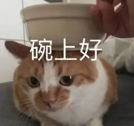 沙雕表情包配文波兰
