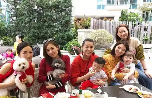  胡杏儿的宝贝儿子小小年纪有大肚腩,与爸妈一起参加聚会表情呆萌