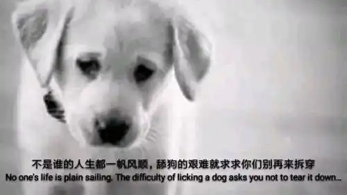  篮球