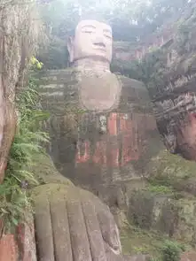  被泼猴狂虐的悲催峨眉山乐山大佛徒步登顶之旅oo更新中...