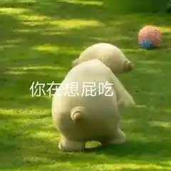  有哪些怼人的玛卡巴卡表情包父子关系,亲人这种