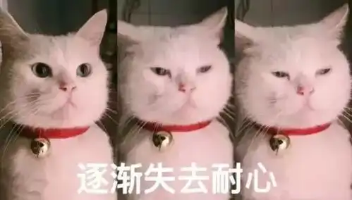  170万买的房,仔细一看面积竟被划到邻居家业主崩了...