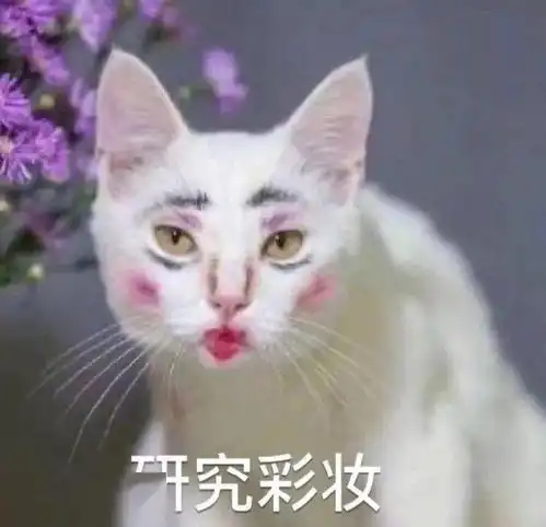  今日份沙雕表情包,都给我进来存