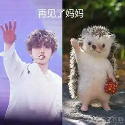  再见了妈妈今晚我要远航表情包最新版再见了妈妈今晚我要远航表情包高清无水印版下载9553下载