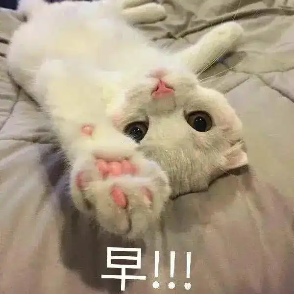  一组可以哄女朋友开心的超可爱表情包