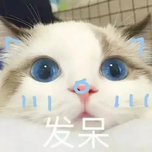  小测试测一测你内在的性格太准了