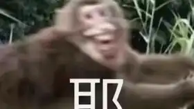  教你如何在钉钉上网