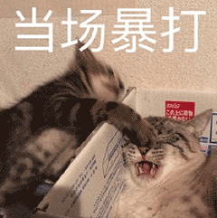  搞笑表情包嗤之以鼻孔