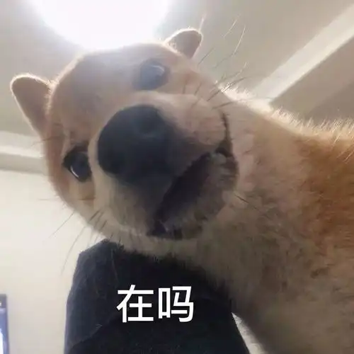  表情包只要我够强壮,渣男就伤害不到我