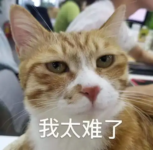  逛亚宠展吗这里有一个重磅惊喜