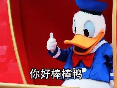 表情包鸭鸭别装了