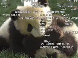  爷青回双厨狂喜b站年度弹幕出炉,你最爱用的被pick了吗周五闲聊