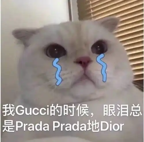  我月薪40000,把chanel包买成了彩虹