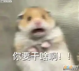  睡醒了要抱抱表情包图片带字我是一个没有感情的菠萝头表情包下载乐游网游戏下载
