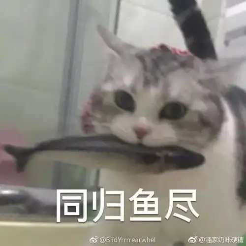 少妇微信聊天打错字,聊天记录震惊所有桂林人