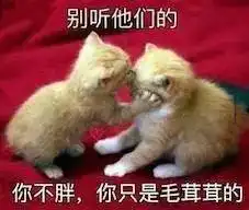  winterishere,8月的英国又到了穿毛衣的季节...