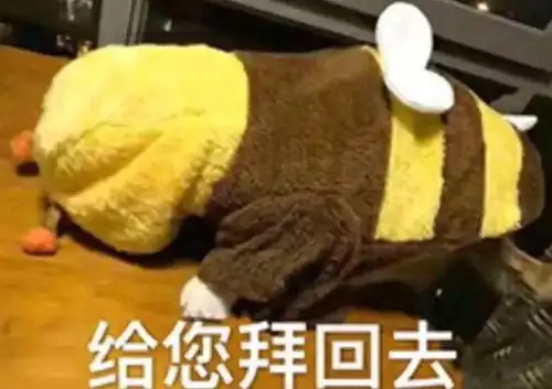  新年表情包