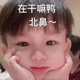  斗图表情包合集在干嘛鸭,北鼻