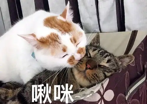  靓发仙女们有没有适合自然卷的洗发水